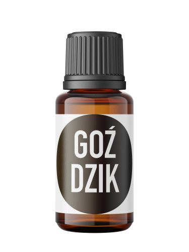 goździk.png